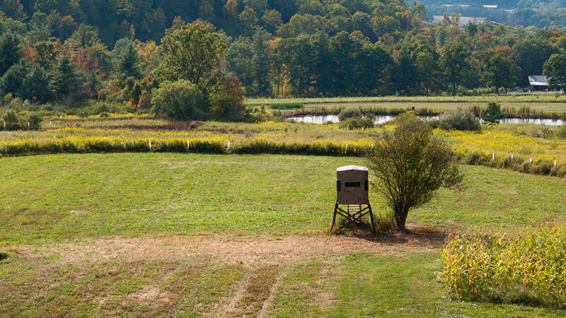 overhead view of a hunting blind in full